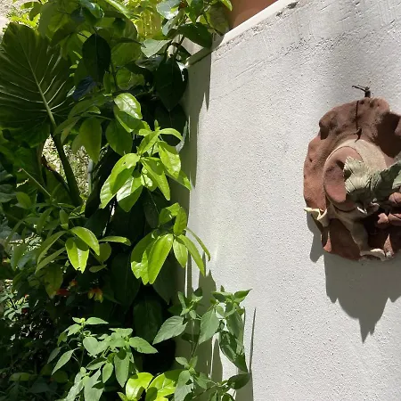 A-16. Amazing Sunny Patio Close To Acropolis Apartment *